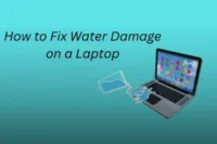 How to Fix Water Damage on a Laptop – Don’t Panic, Fix It Now!