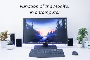 Understanding the Function of the Monitor in a Computer