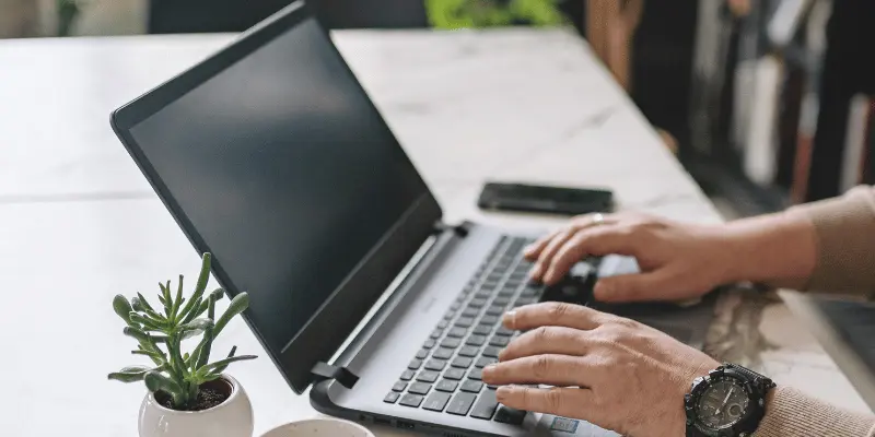 Hands typing on a laptop in a modern workspace with a small potted plant
